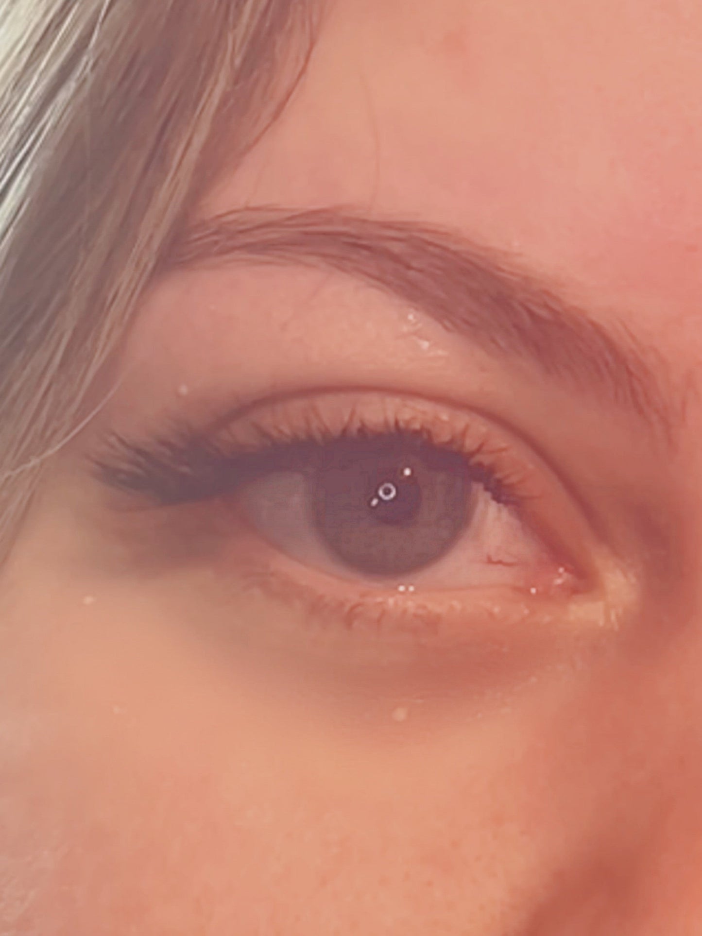 L Curl Flat Lash Sample – 0.15 Thickness | 5 Rows