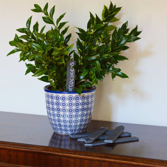 2cm x 15.5cm Slate Plant Markers - Pack of Six