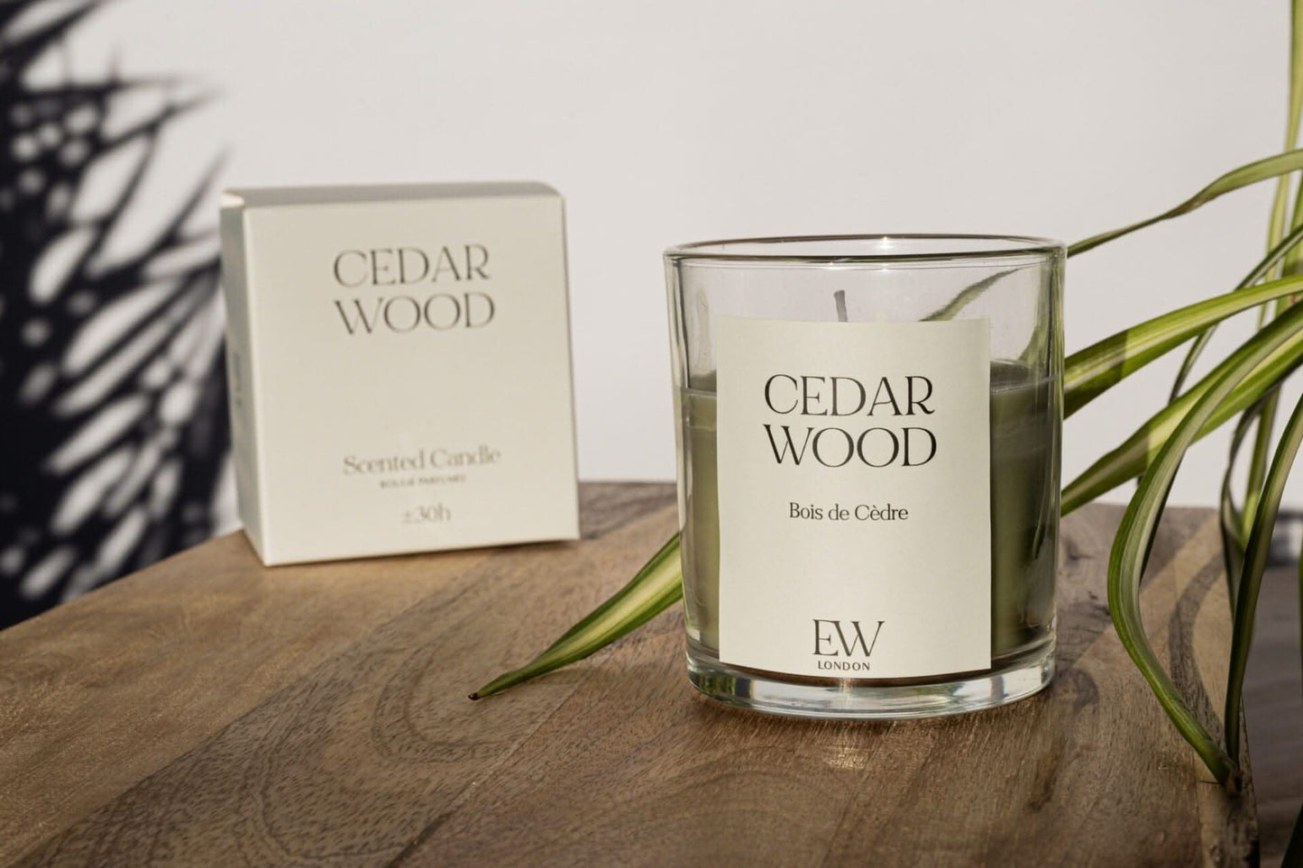 30 Hour Cedarwood Medium Candle