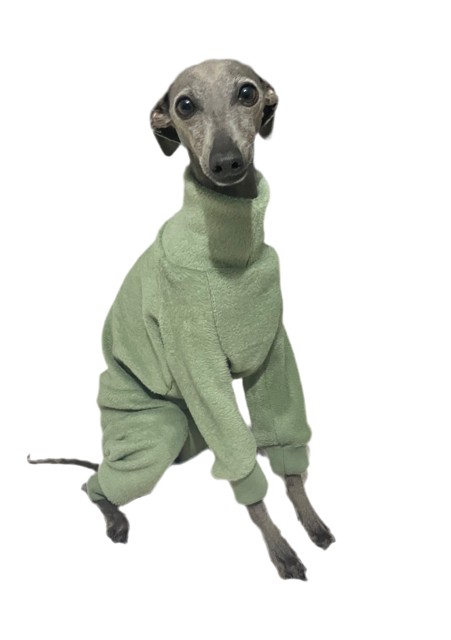 Fleece Lined Sweatshirt - Sage Green