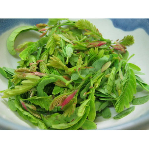 Fresh Young Tamarind Leaves 100g