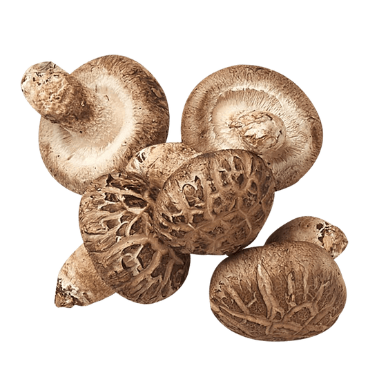 Fresh Shitake Mushroom Hem Hom 100g
