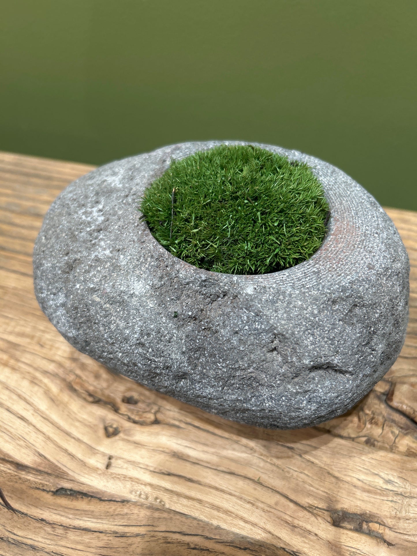 Indo Riverstone planted with Preserved Moss FR71