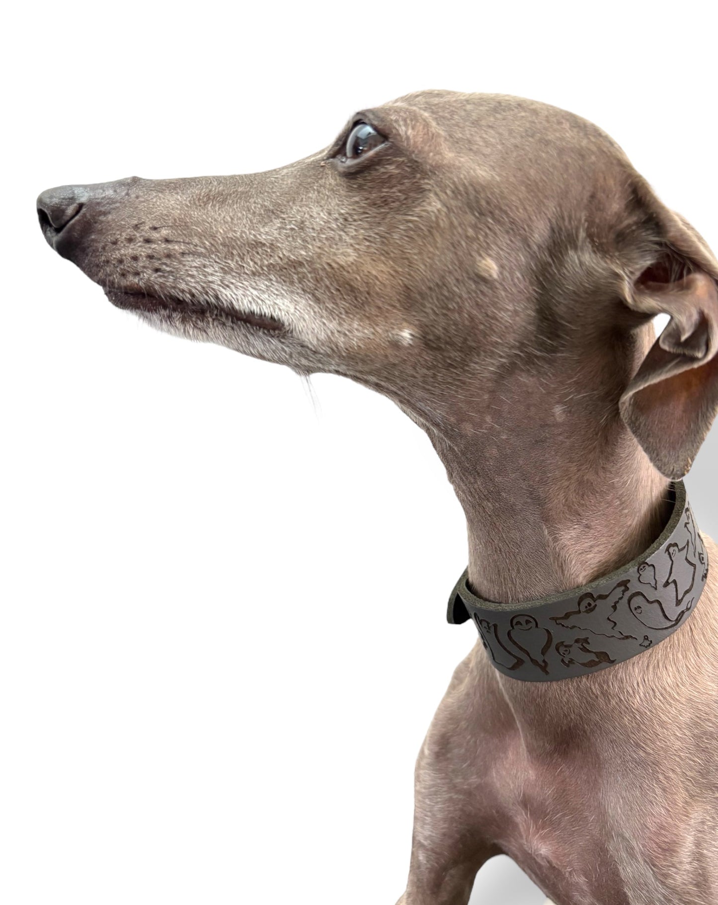 Leather Collar - HALLOWEEN - Ghosties