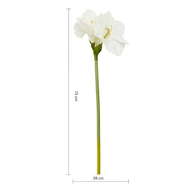 Fiori Ivory Amarylilis Flower Stem
