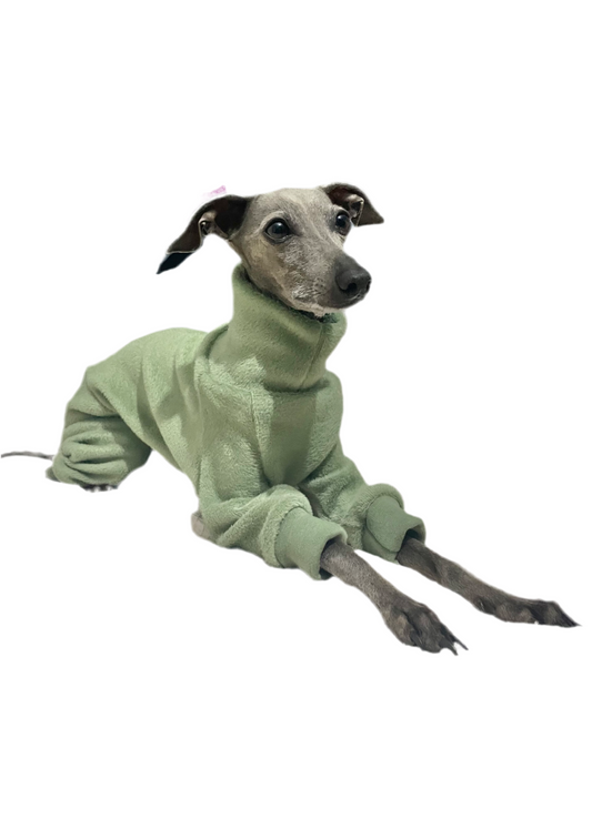 Fleece Lined Sweatshirt - Sage Green