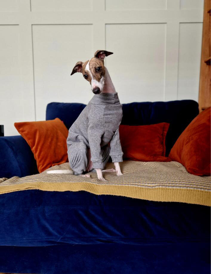 Fleece Lined Sweatshirt - Grey