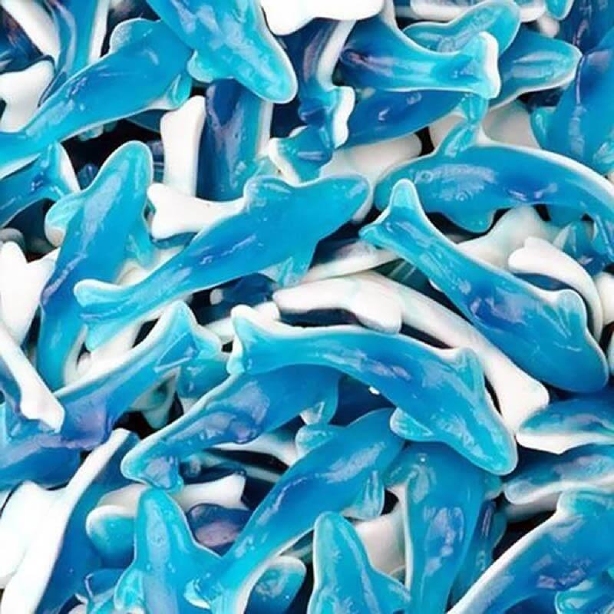 Blue Dolphins 60 Pieces Sweets