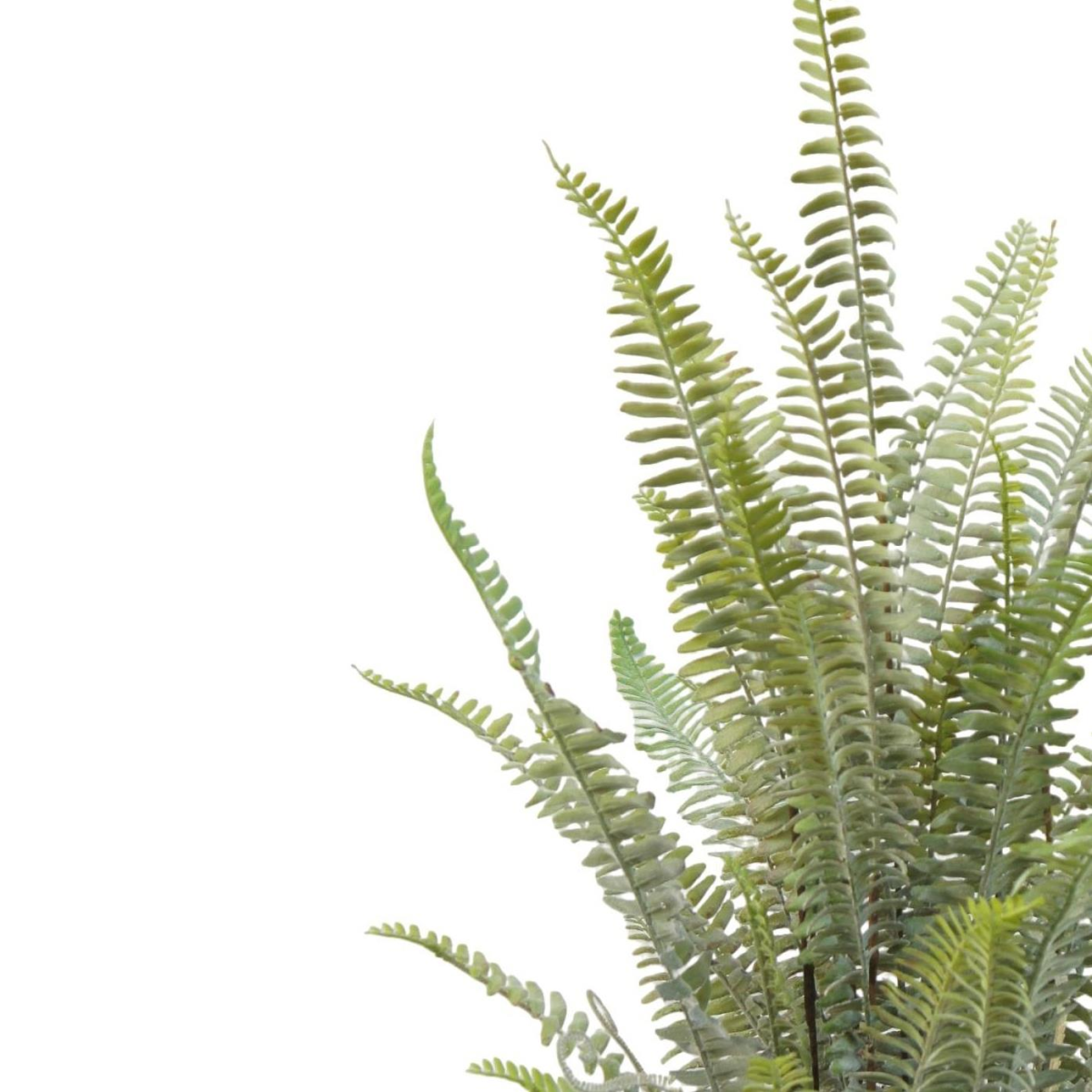74cm Artificial Fern Plant