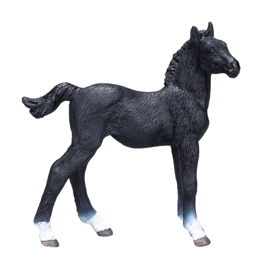 Hanoverian Foal Black Realistic Equestrian Figurine