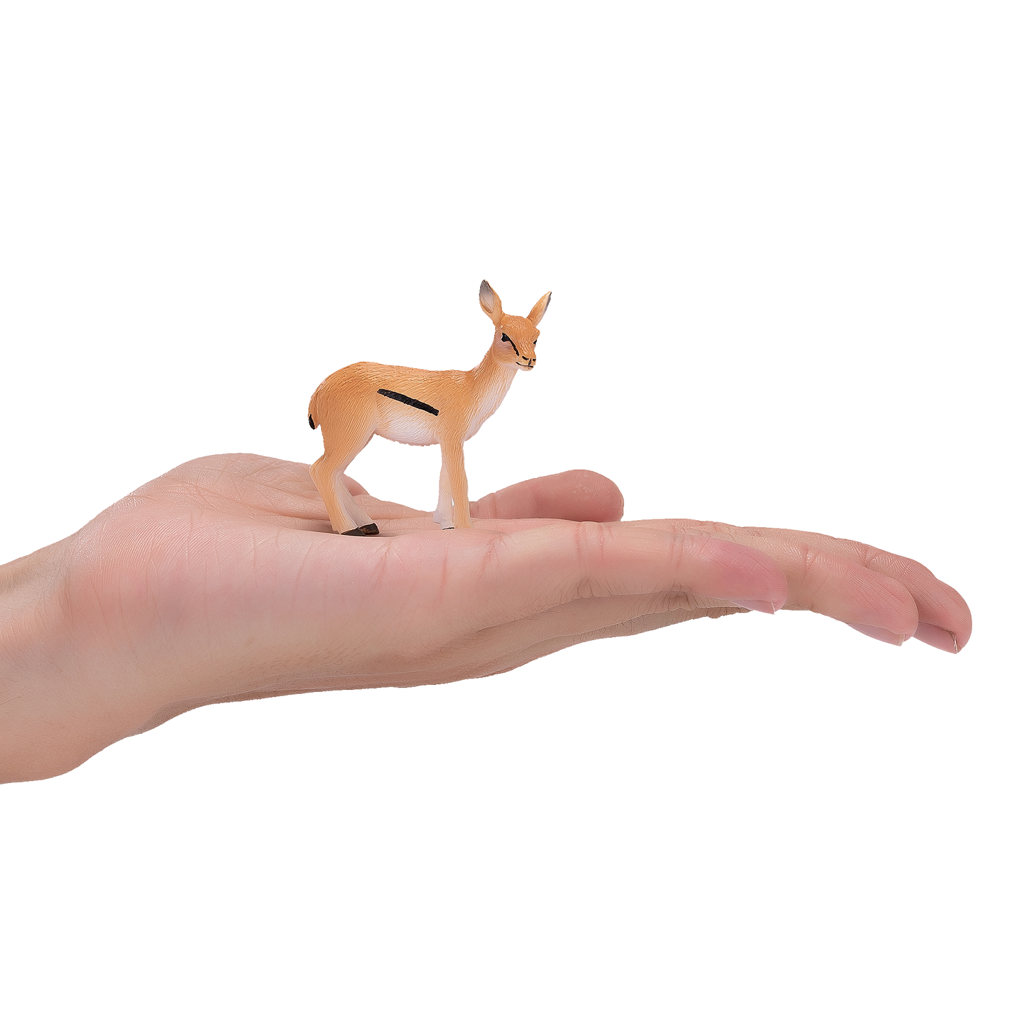 Thomson Gazelle Calf Toy Realistic Wildlife Figurine