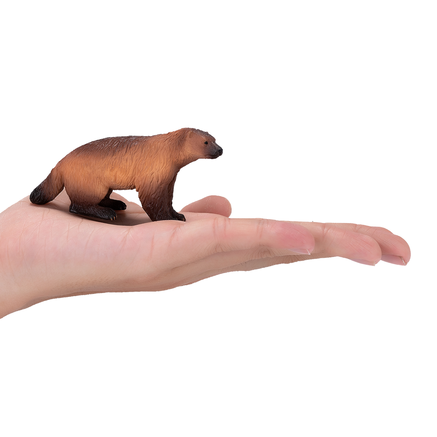 Wolverine Toy Realistic Wildlife Animal Figurine