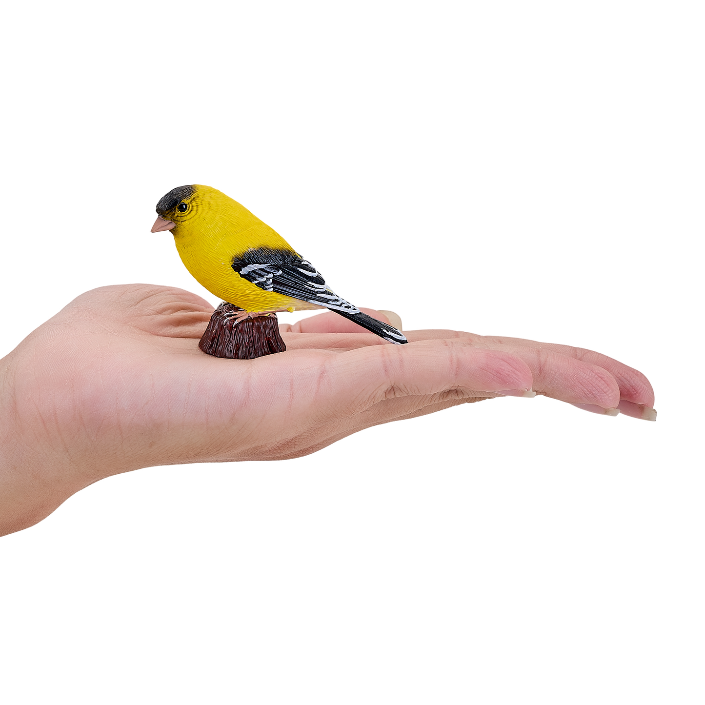 American Goldfinch Bird Toy Realistic Wildlife Model
