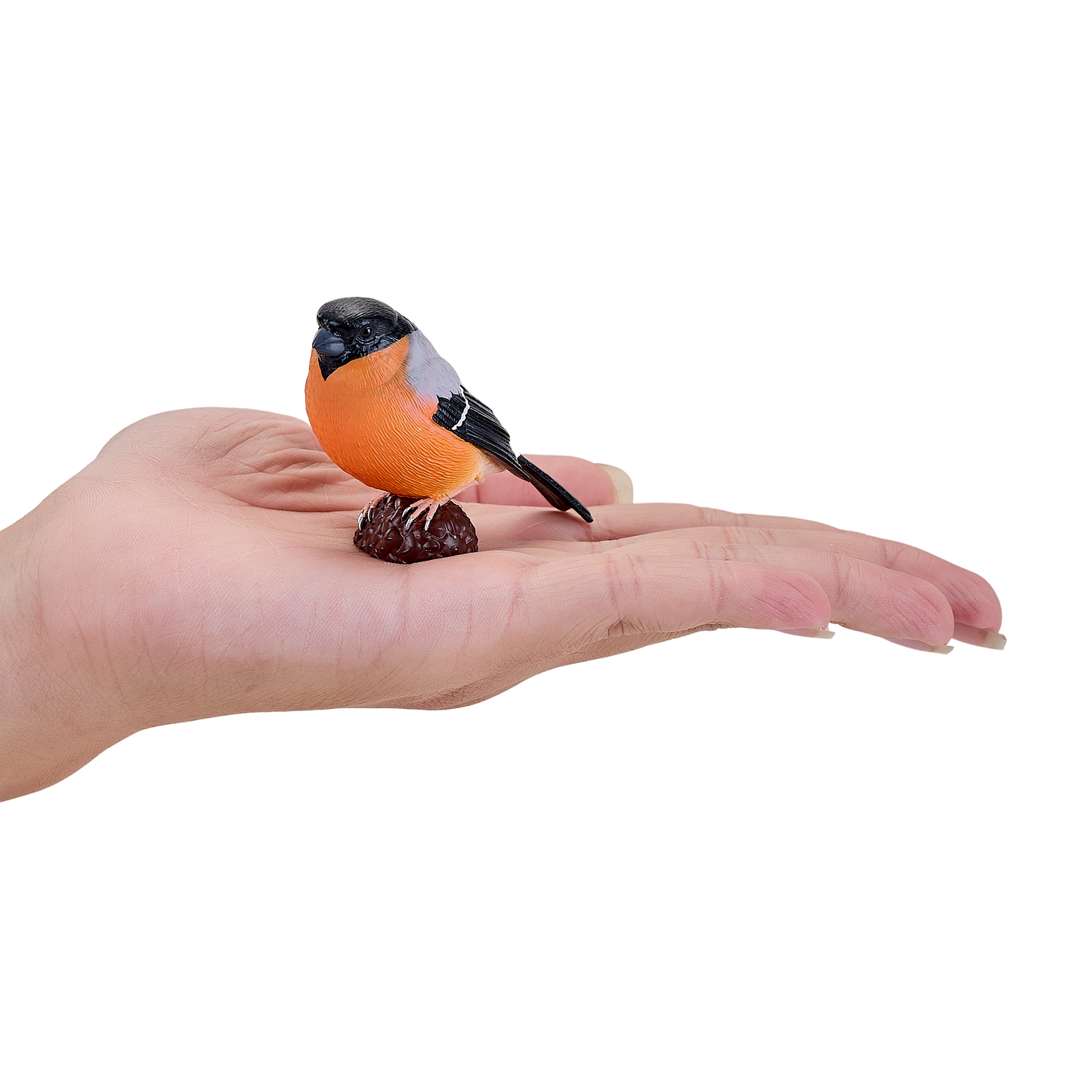 Bullfinch Bird Toy Realistic Wildlife Figurine
