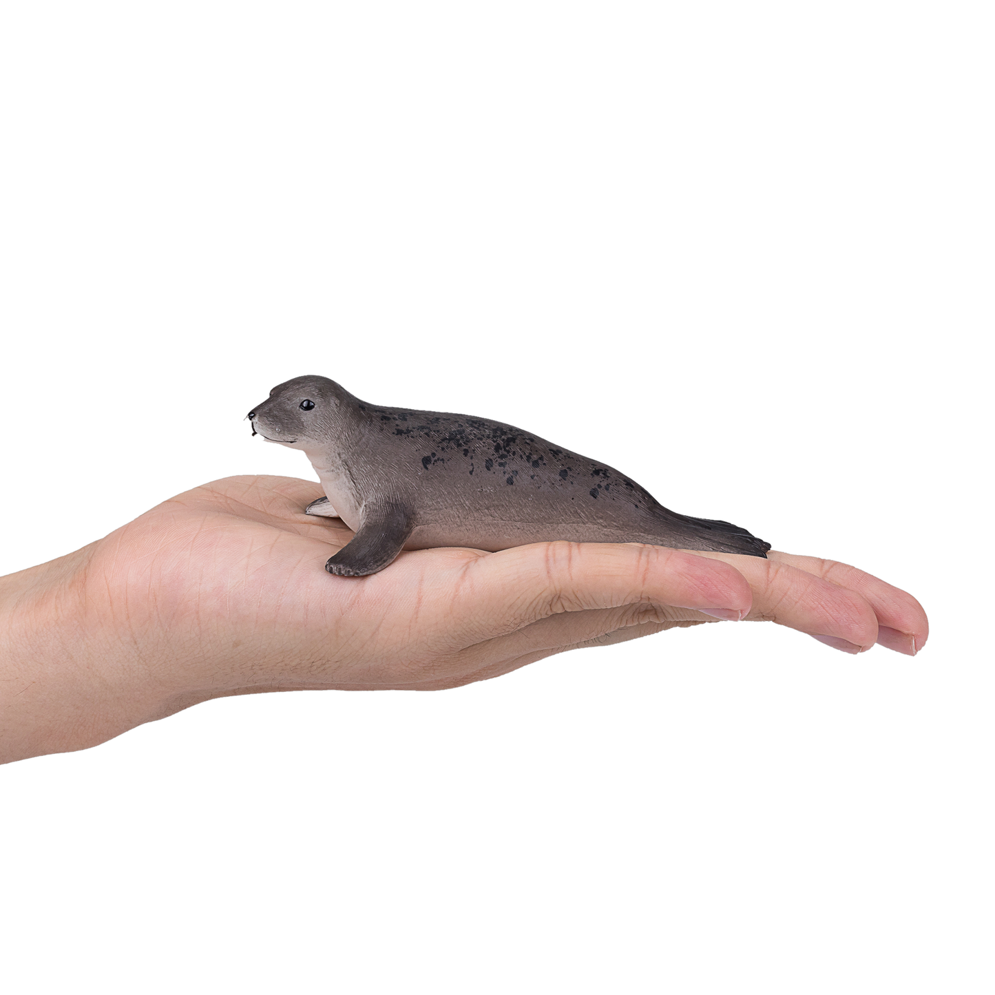 Grey Seal Toy Realistic Marine Mammal Model