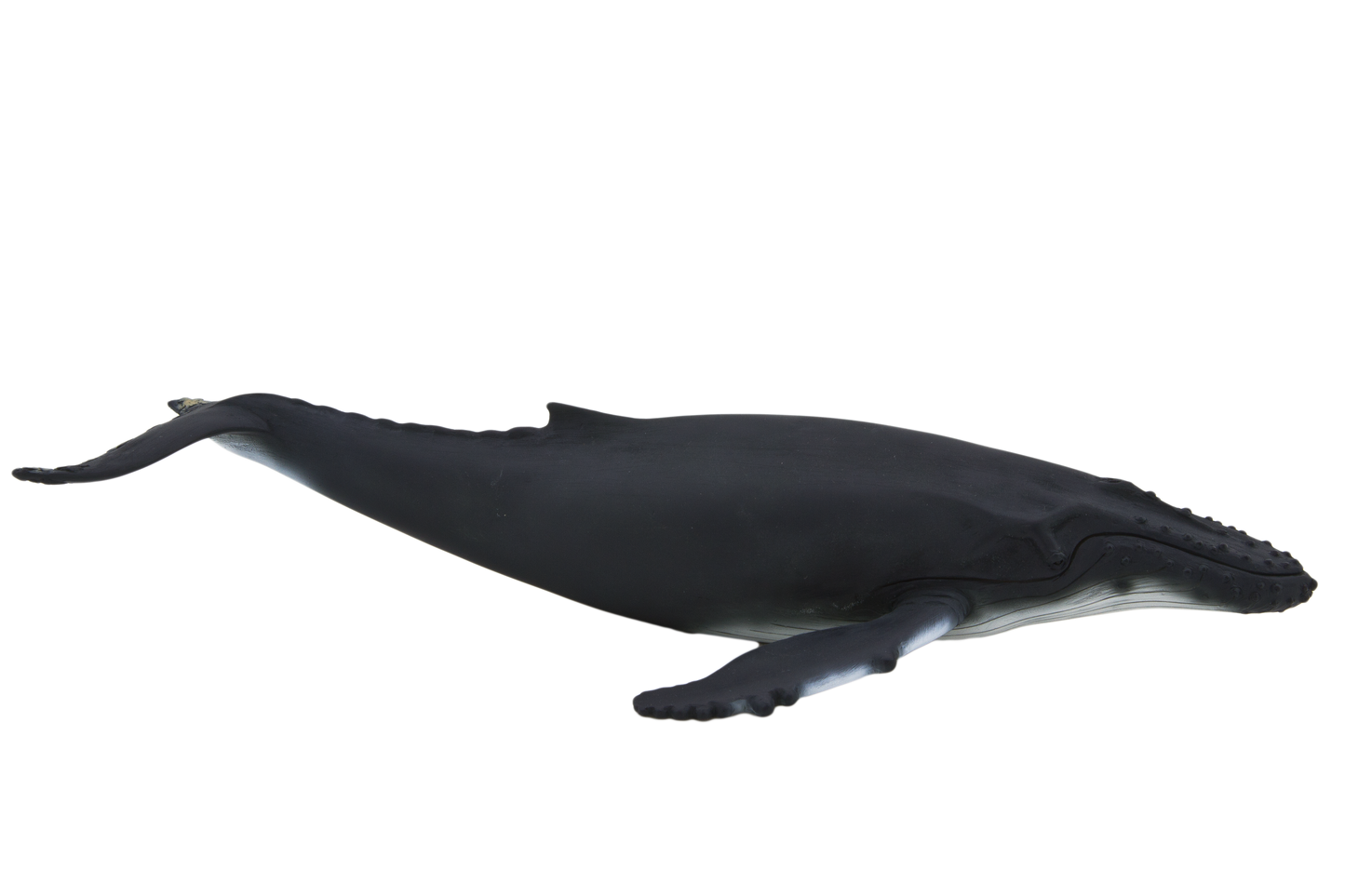 Humpback Whale Toy Realistic Ocean Mammal Figurine