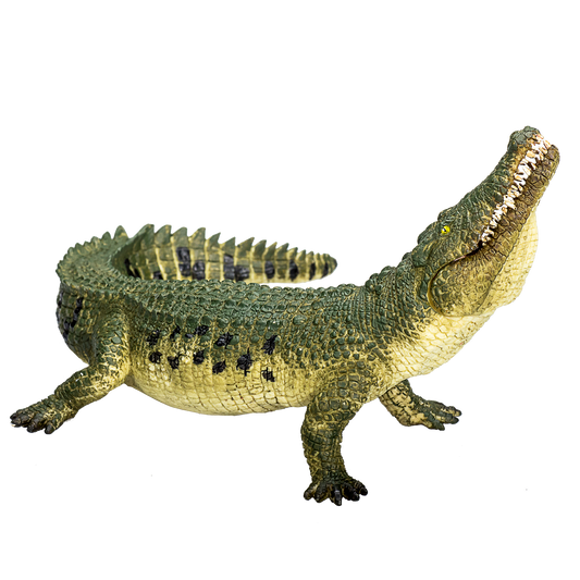 Crocodile with Articulated Jaw Realistic Reptile Model