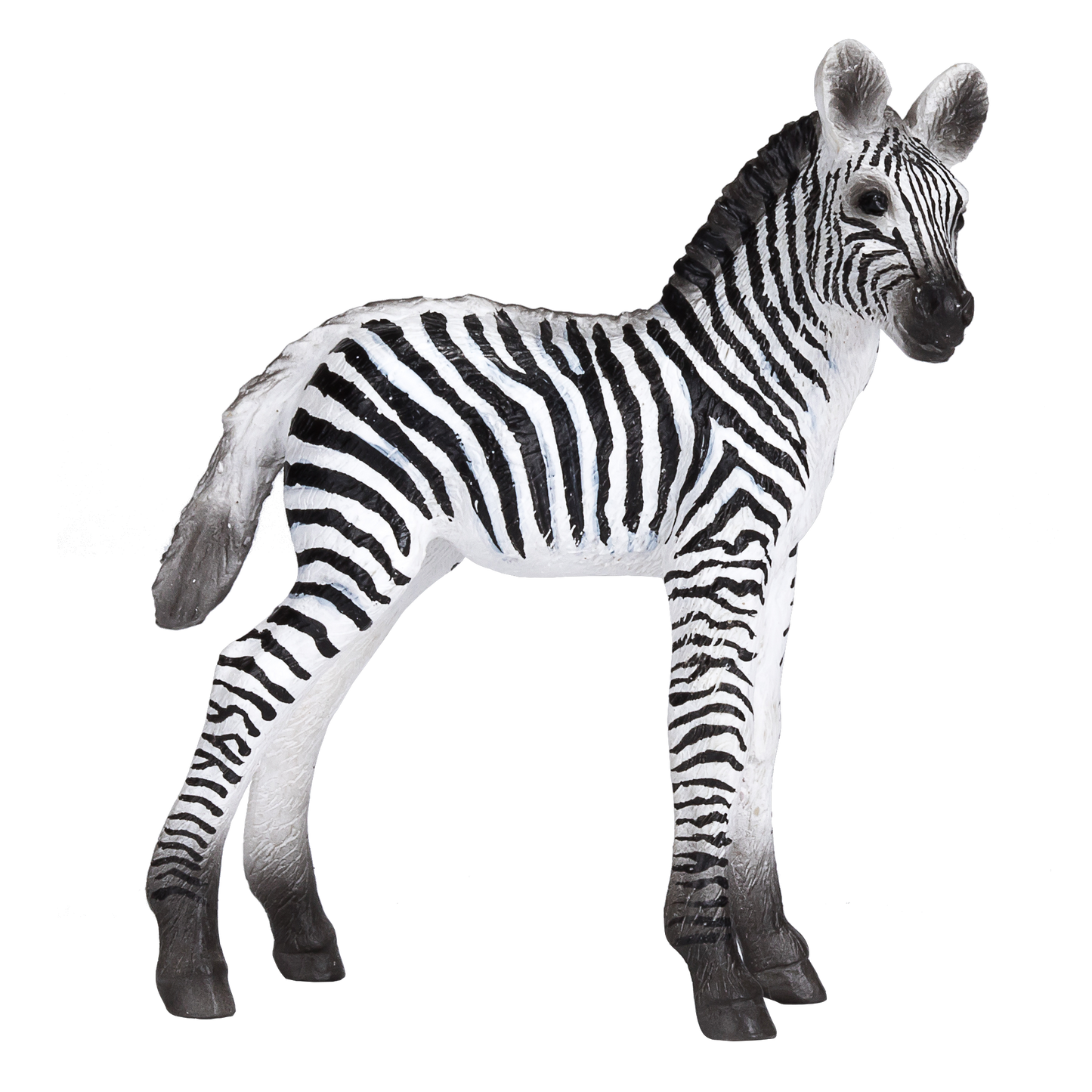 Zebra Foal Toy Realistic African Wildlife Model