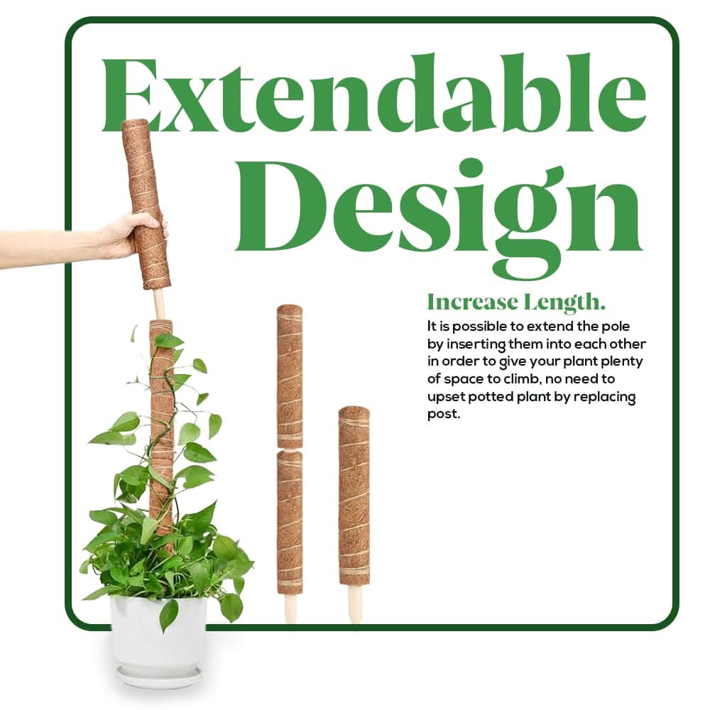 4pc Moss Coir Pole Plant Supports - Fibre Sticks with Spikes