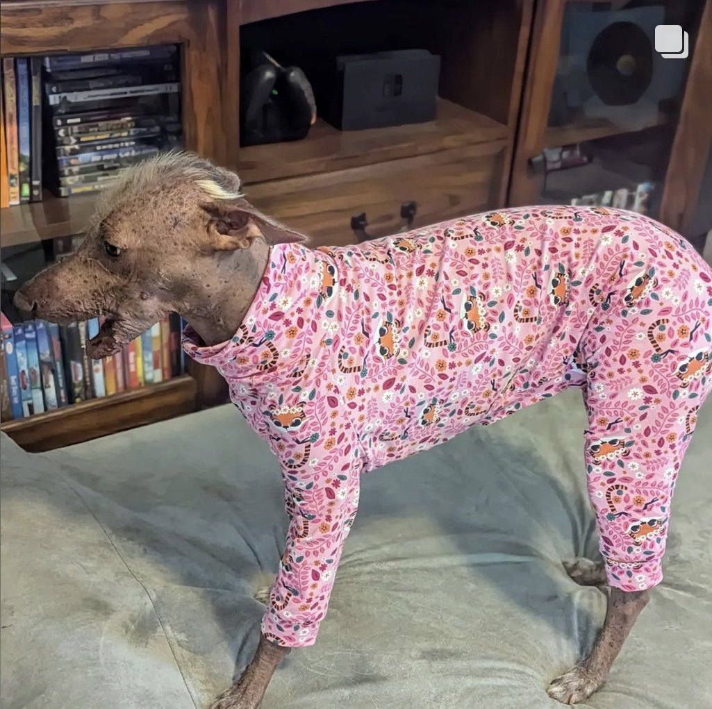 Jersey Suit - Pink Tigers