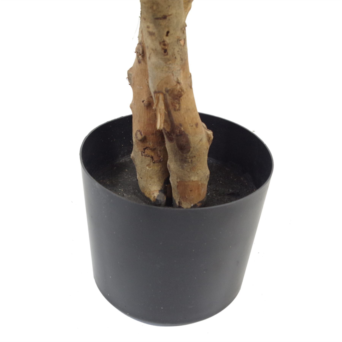 130cm Variegated White/Green Bushy Ficus Tree Gold Metal Planter