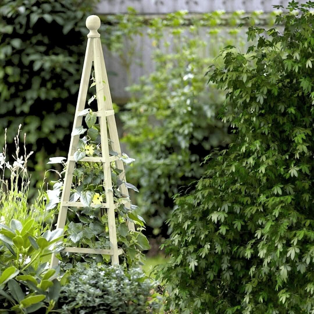 Large Garden Sage Obelisk Outdoor Arch Heavy Duty Strong Wooden Plant Cage