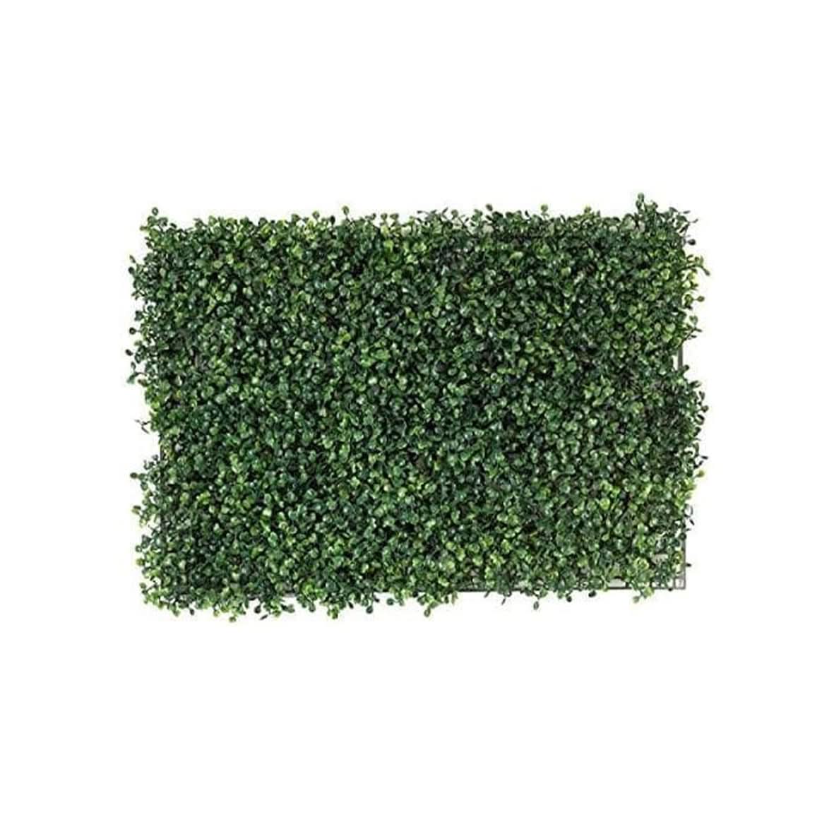 Boxwood Screening Panel 60 x 40cm