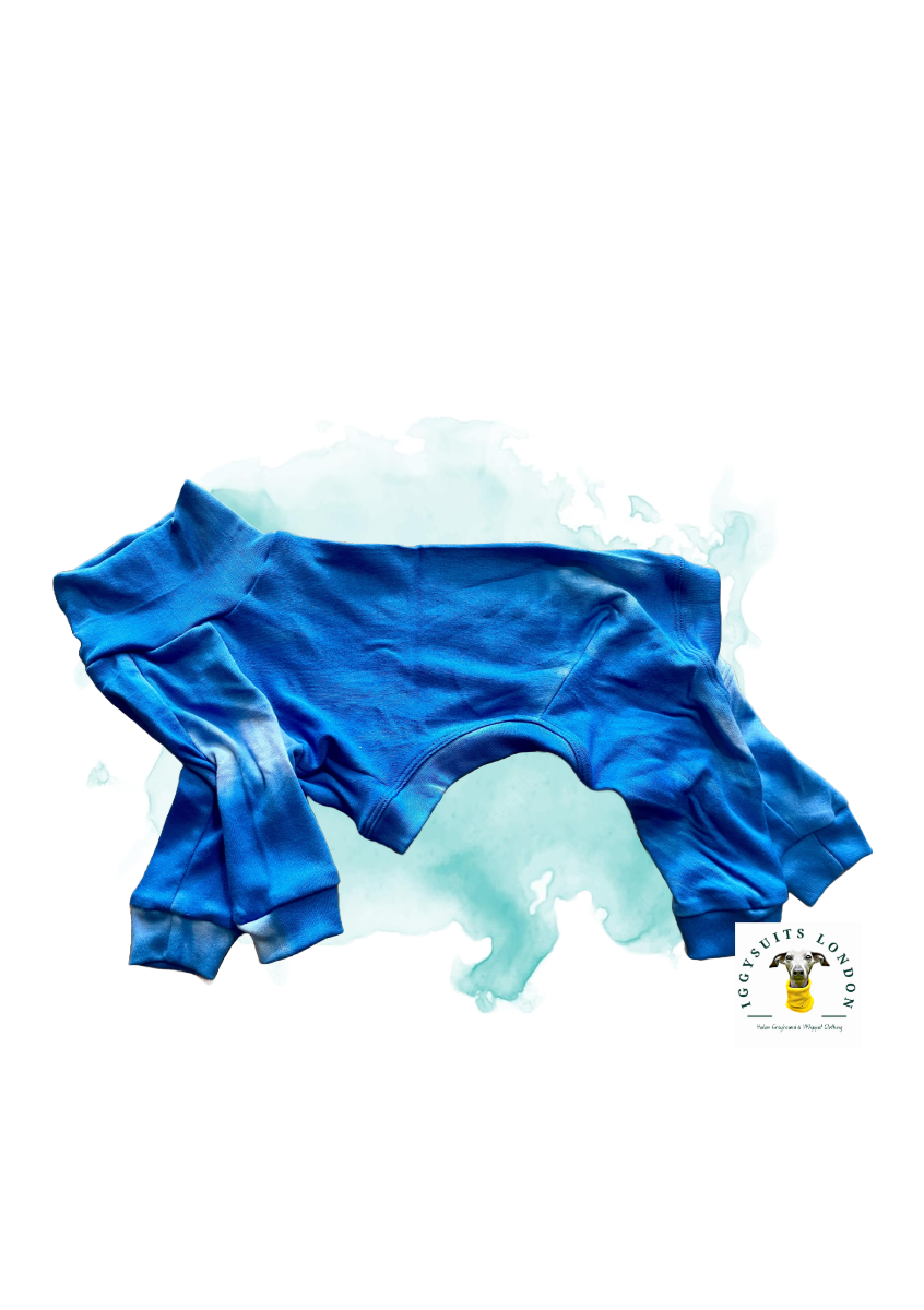 Puppy Jersey Suit - Blue Tie Dye