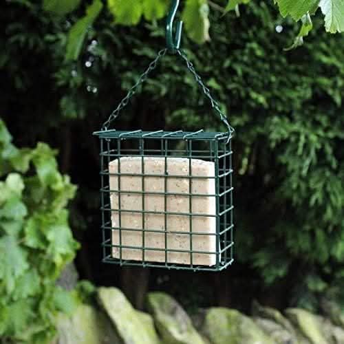 Wild Bird Suet Cake Feeder