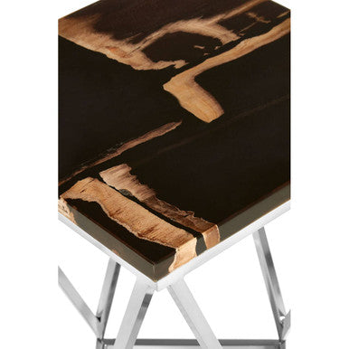 Relic Dark Petrified Wood Top Side Table
