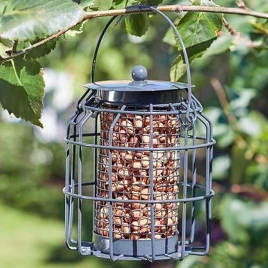 Bird Peanut Feeder Cage