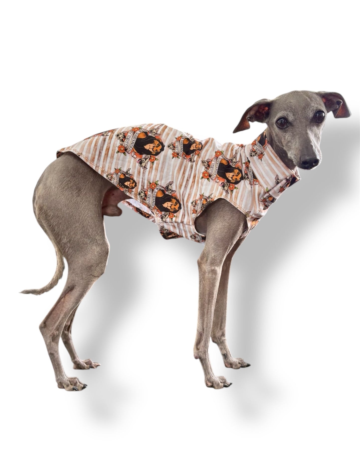 Jersey Vest - Lion King