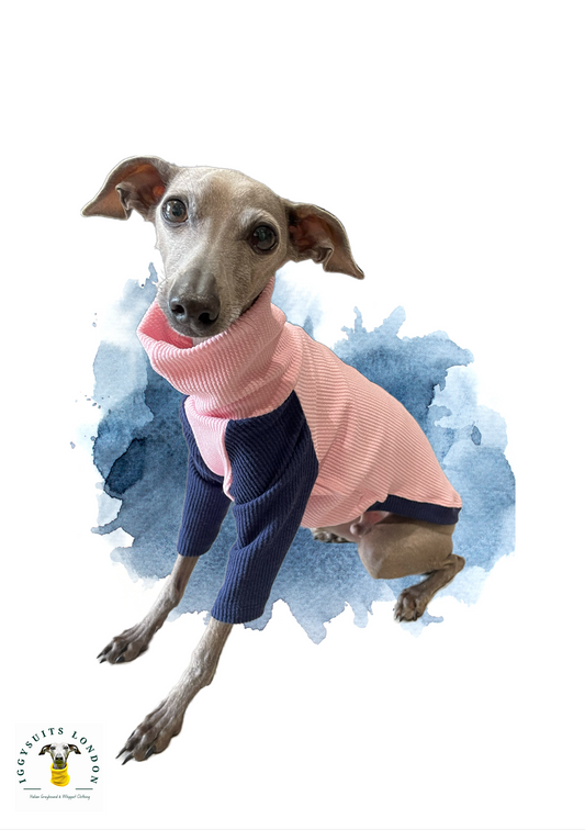 Puppy Ribbed Jersey T-Shirt - Blossom