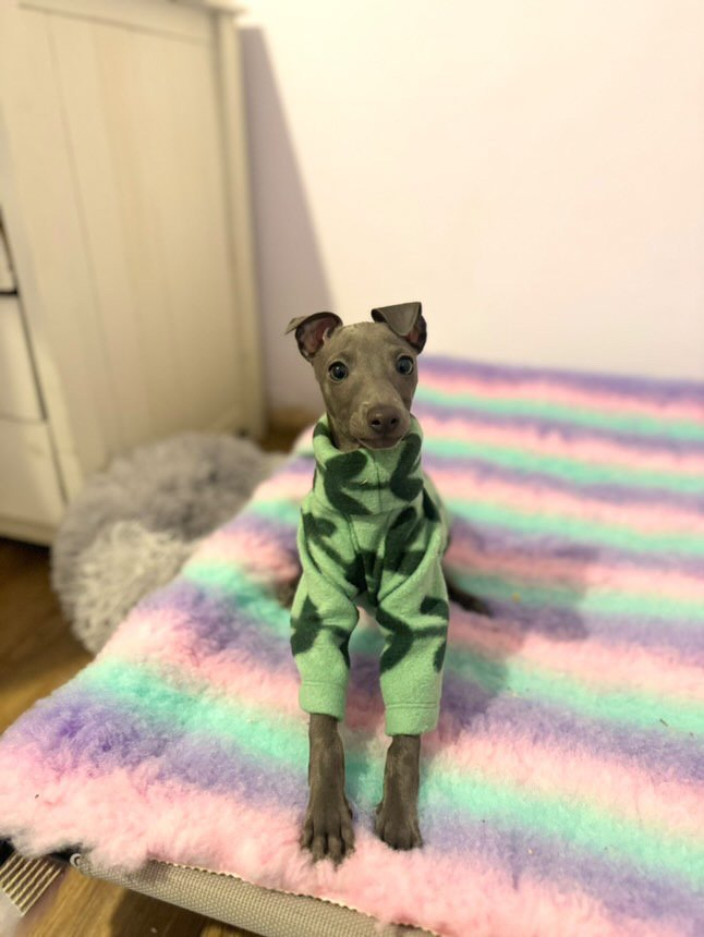 Fleece Jumper - Feeling Vine