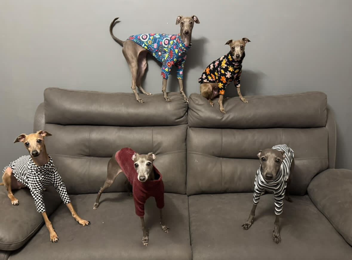 Fleece Lined Sweatshirt Jumper - Flower Power