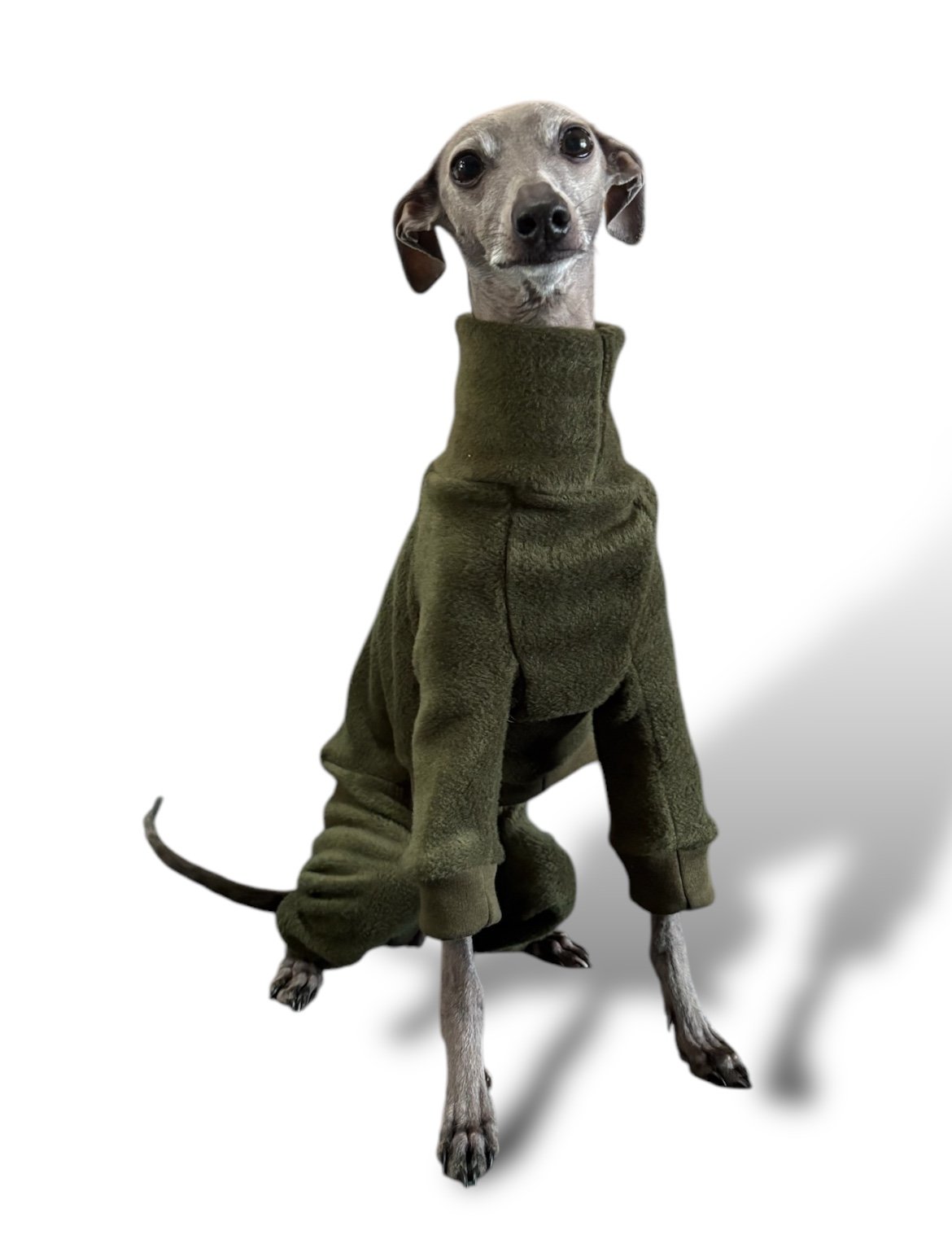 Fleece Lined Sweatshirt - Olive
