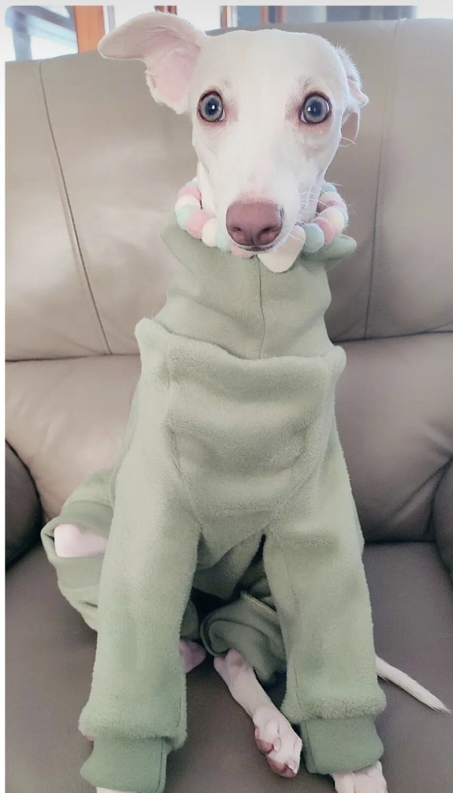 Fleece Lined Sweatshirt - Sage Green