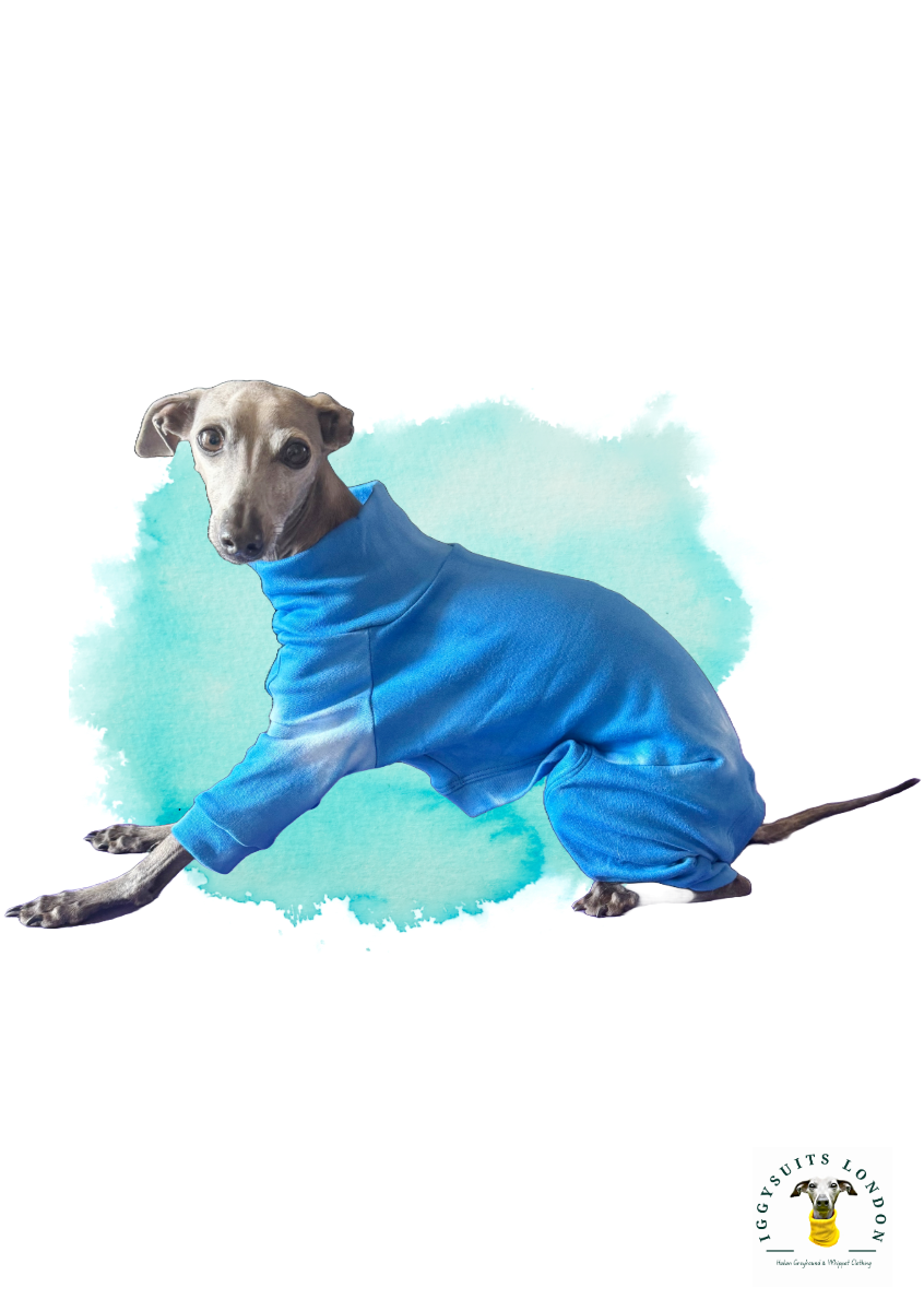 Puppy Jersey Suit - Blue Tie Dye