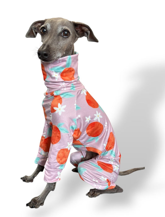 Jersey Suit - Peaches