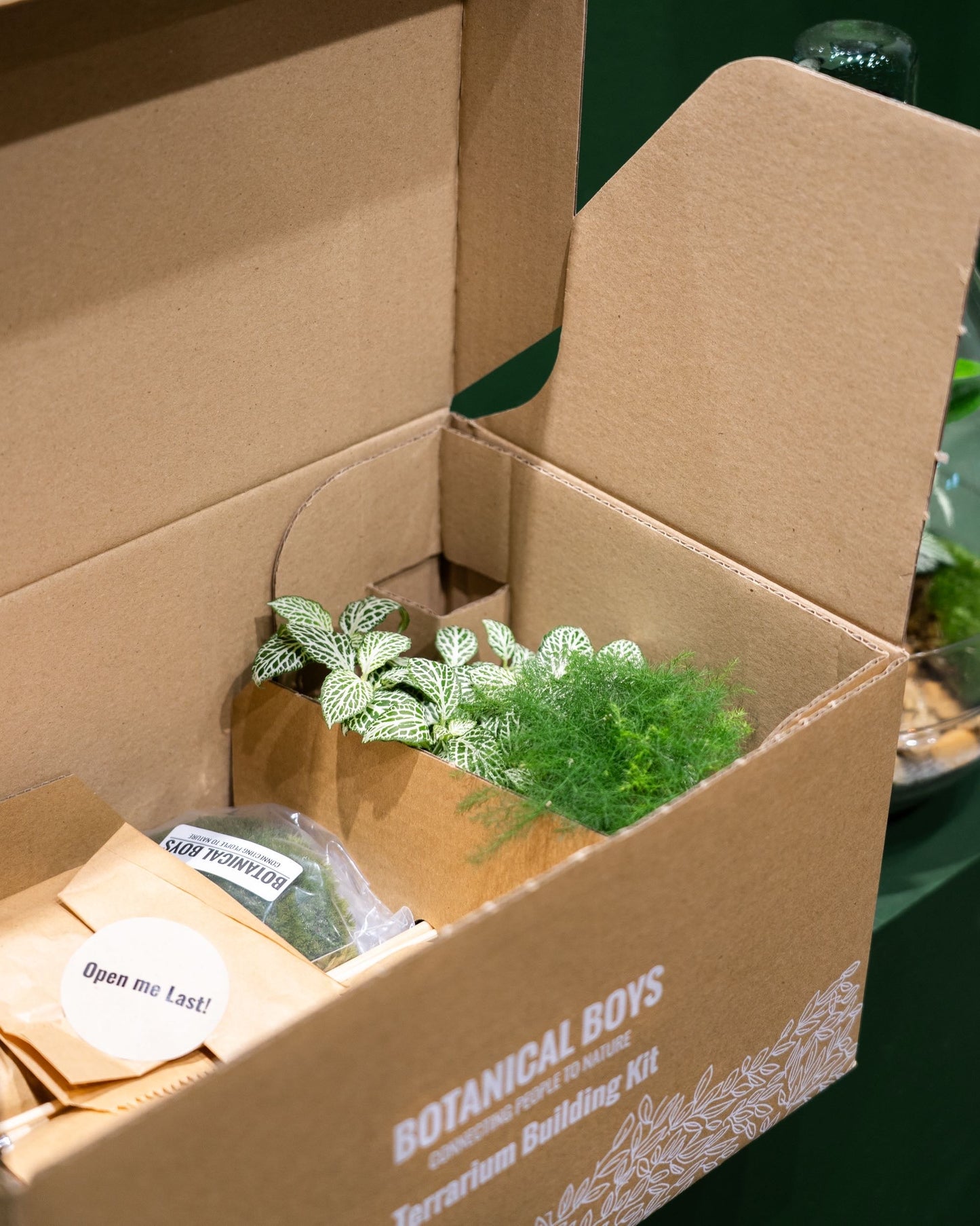 Slim Cork jar terrarium kit