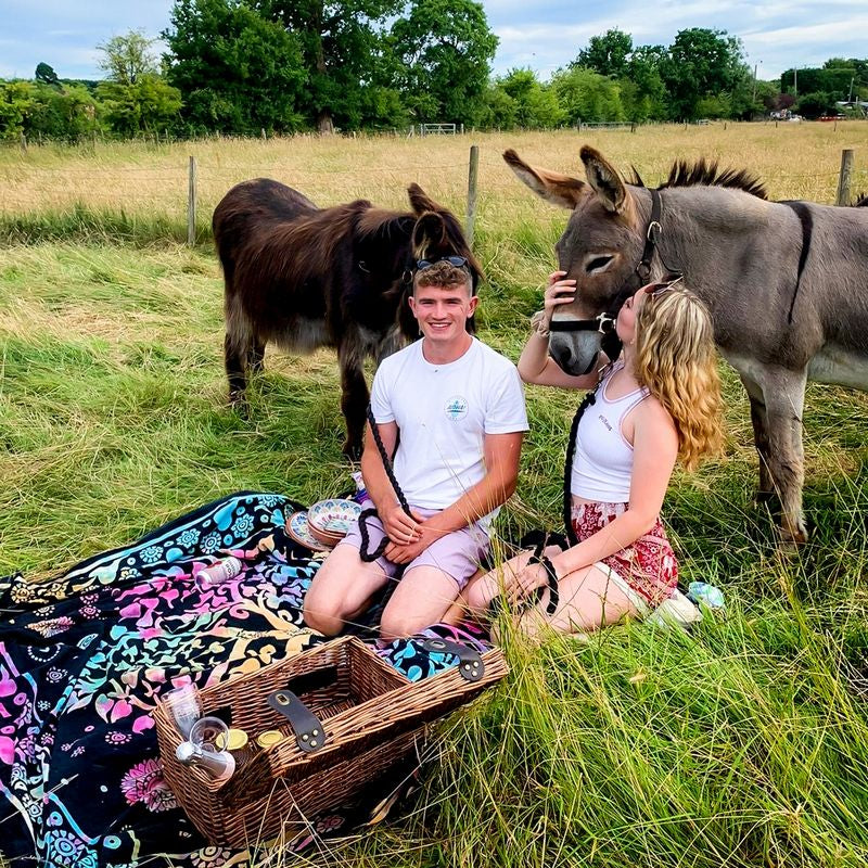 Donkey Picnic for Four at Dashing Donkeys - Gift Experience