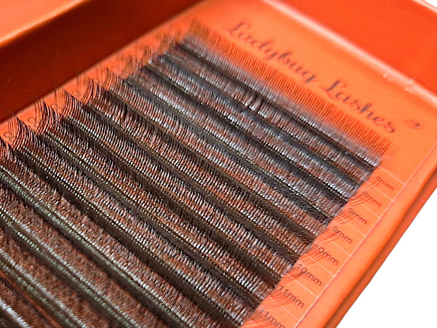 🤎Brown W Lash Tray – 16 Rows Single Length 🤎