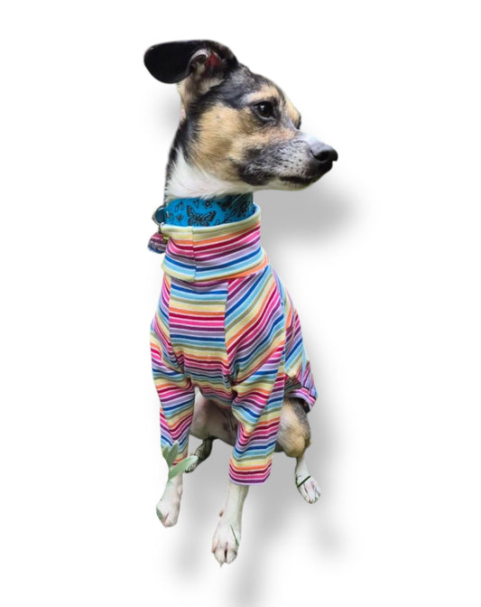 Jersey T-Shirt- Rainbow Stripes