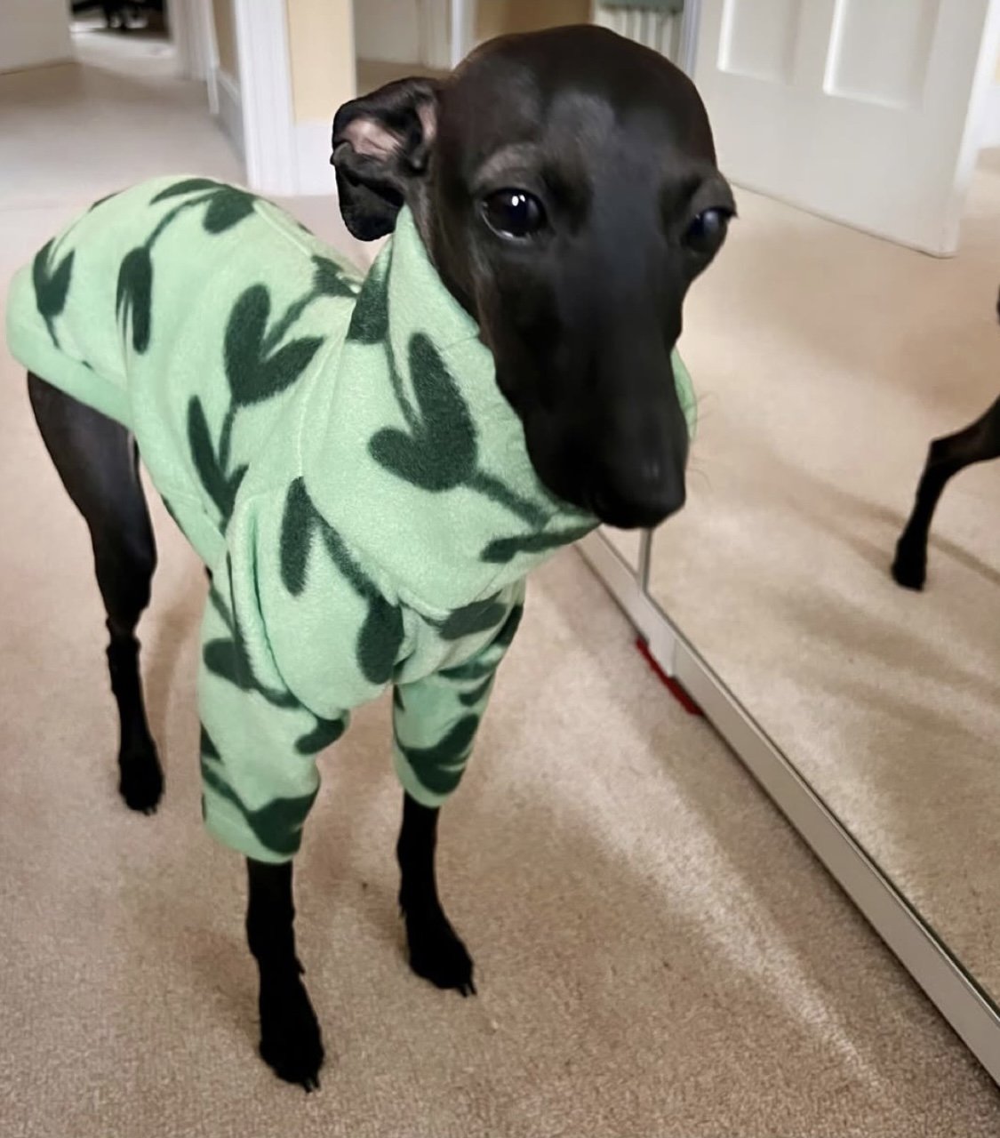 Fleece Jumper - Feeling Vine