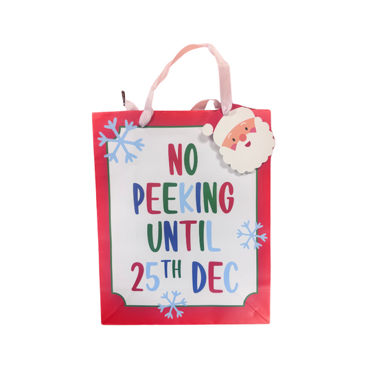 Christmas Santa Gift Bag