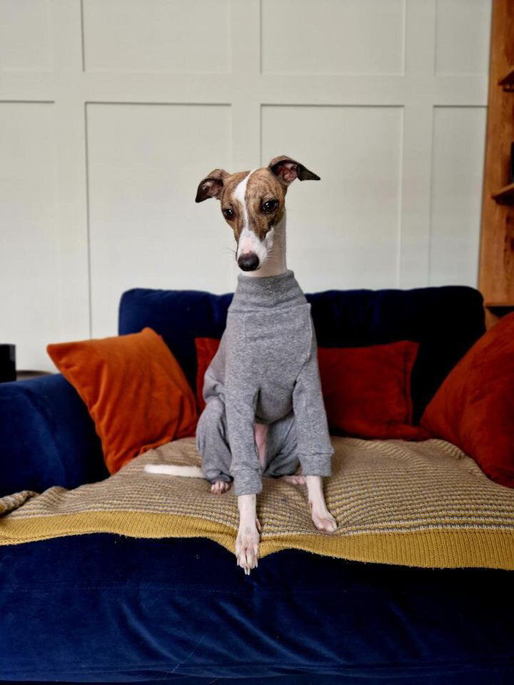 Fleece Lined Sweatshirt - Grey