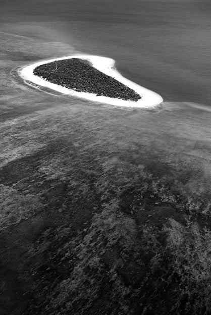 David Ballam - MZ 02