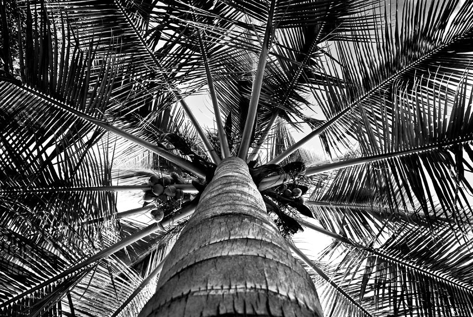 David Ballam - MZ 20