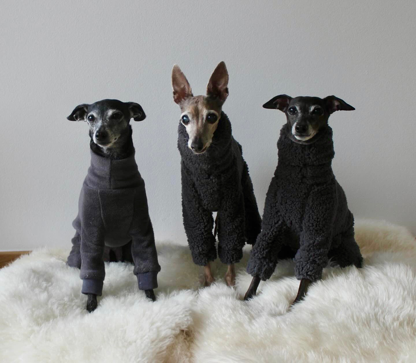 Fleece Lined Sweatshirt - Sage Green