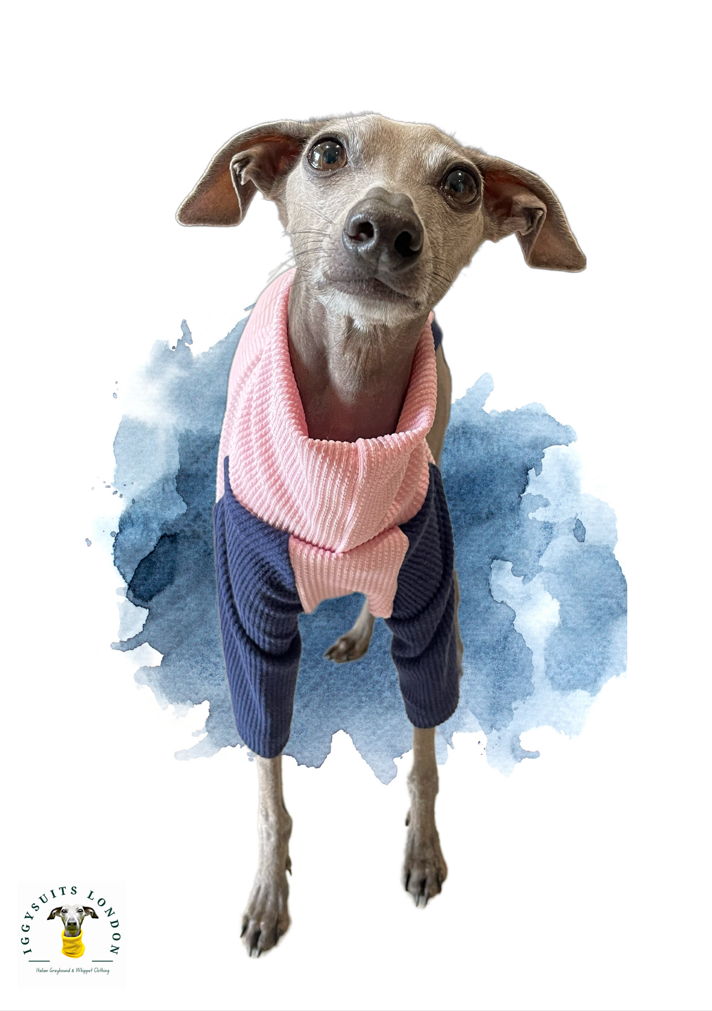 Puppy Ribbed Jersey T-Shirt - Blossom